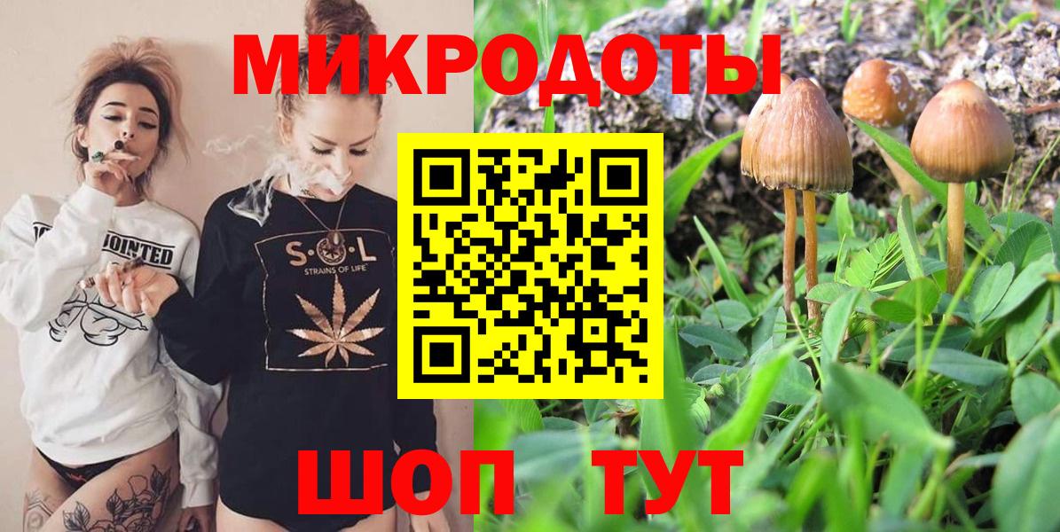 Сальск  Псилоцибиновые грибы Psilocybe  Вход с VPN 